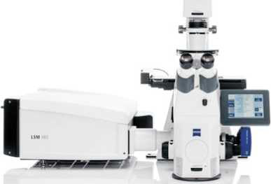 快速共聚焦显微镜LSM 9 Multiplex