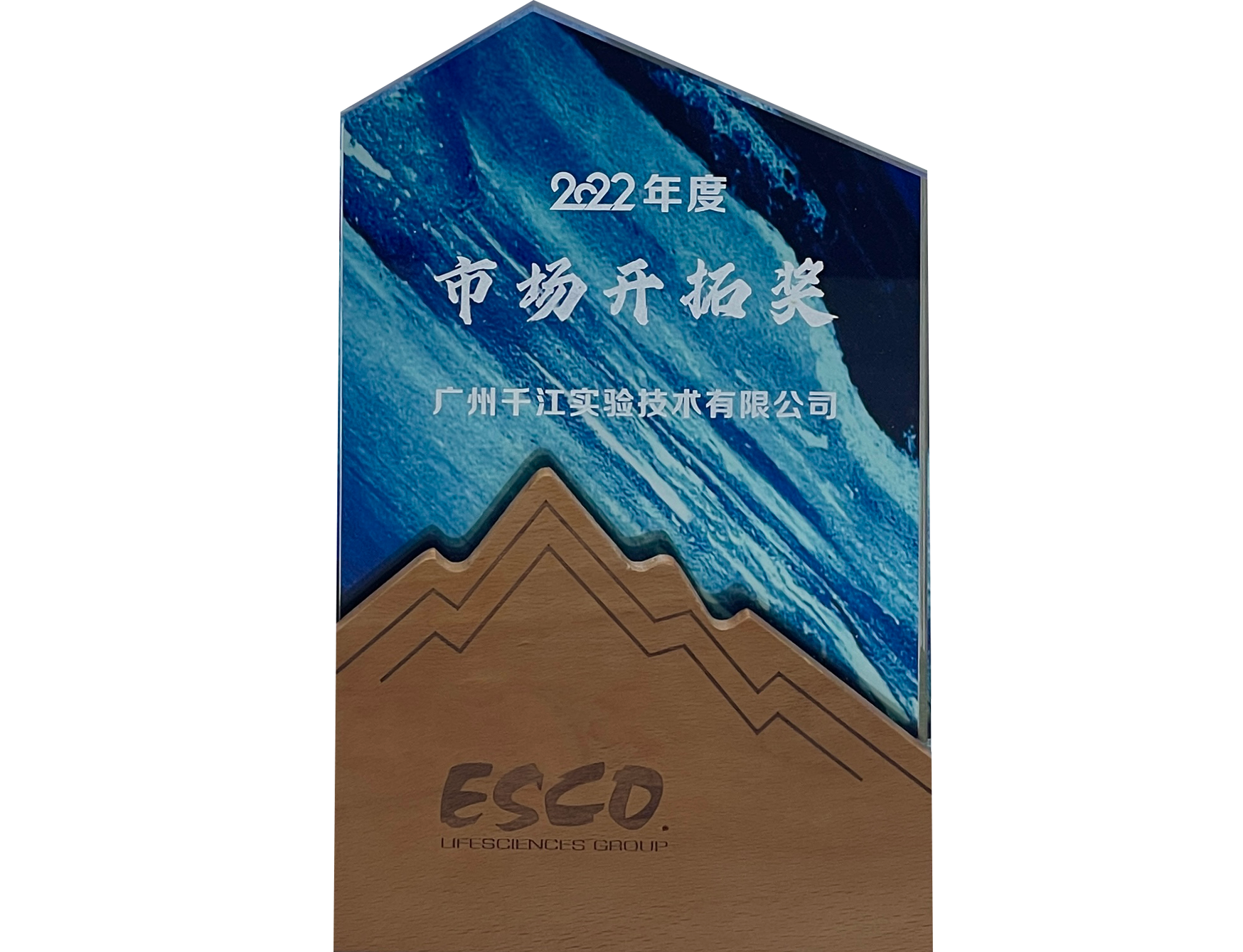 2022年度-ESCO市场开拓奖
